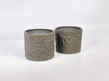 Load image into Gallery viewer, Barking at the wrong tree cup
